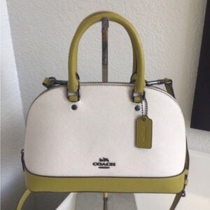 Coach Mini Dome Crossbody